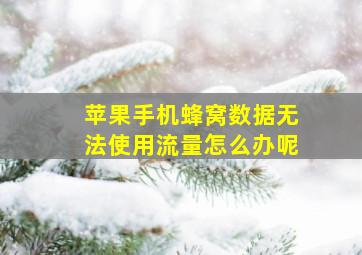 苹果手机蜂窝数据无法使用流量怎么办呢