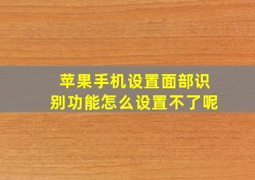 苹果手机设置面部识别功能怎么设置不了呢