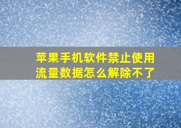 苹果手机软件禁止使用流量数据怎么解除不了