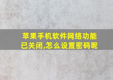 苹果手机软件网络功能已关闭,怎么设置密码呢