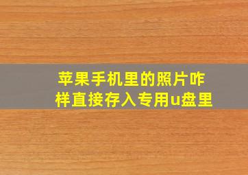 苹果手机里的照片咋样直接存入专用u盘里