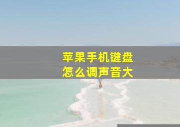 苹果手机键盘怎么调声音大