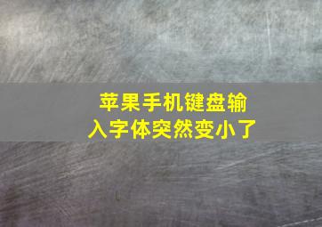 苹果手机键盘输入字体突然变小了