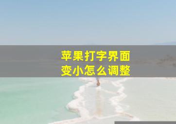 苹果打字界面变小怎么调整