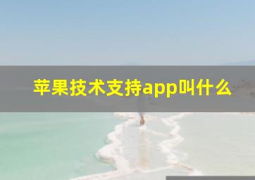 苹果技术支持app叫什么