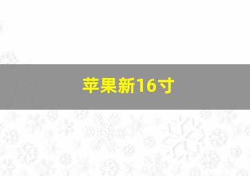 苹果新16寸