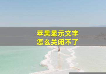 苹果显示文字怎么关闭不了