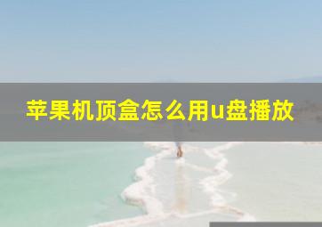 苹果机顶盒怎么用u盘播放