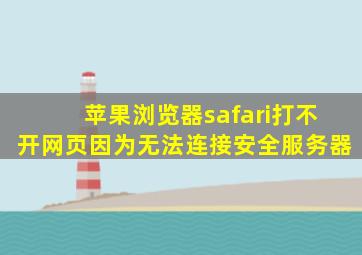 苹果浏览器safari打不开网页因为无法连接安全服务器