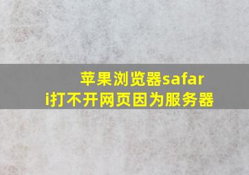 苹果浏览器safari打不开网页因为服务器