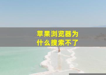 苹果浏览器为什么搜索不了