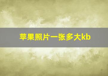 苹果照片一张多大kb