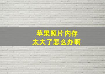 苹果照片内存太大了怎么办啊