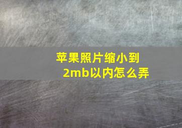 苹果照片缩小到2mb以内怎么弄