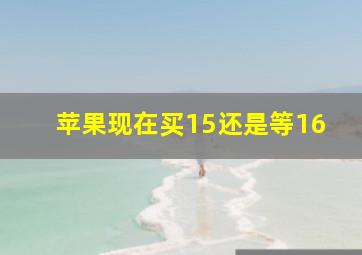 苹果现在买15还是等16