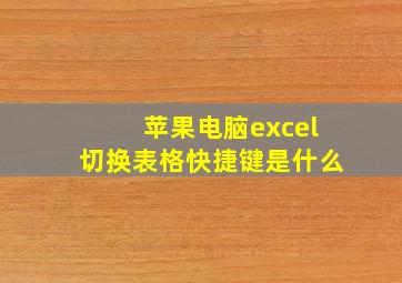 苹果电脑excel切换表格快捷键是什么