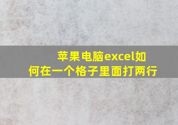 苹果电脑excel如何在一个格子里面打两行