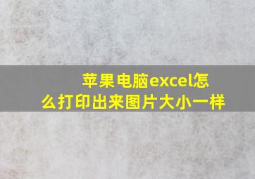 苹果电脑excel怎么打印出来图片大小一样