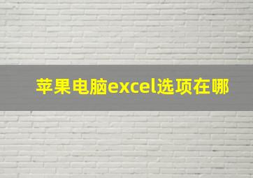 苹果电脑excel选项在哪