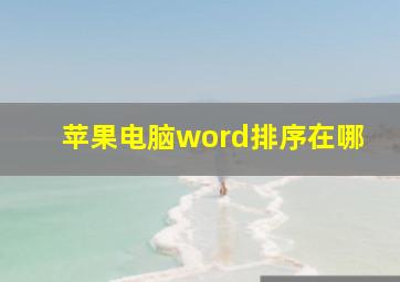 苹果电脑word排序在哪