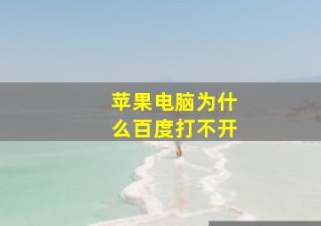 苹果电脑为什么百度打不开