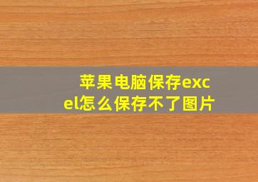 苹果电脑保存excel怎么保存不了图片