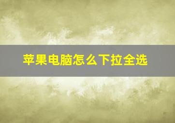 苹果电脑怎么下拉全选