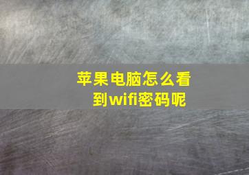 苹果电脑怎么看到wifi密码呢