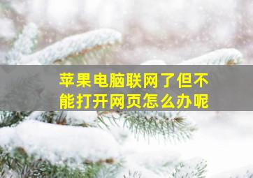 苹果电脑联网了但不能打开网页怎么办呢