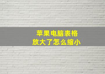 苹果电脑表格放大了怎么缩小