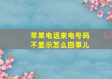 苹果电话来电号码不显示怎么回事儿