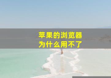 苹果的浏览器为什么用不了