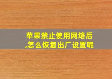 苹果禁止使用网络后,怎么恢复出厂设置呢