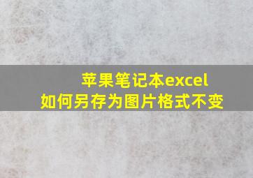 苹果笔记本excel如何另存为图片格式不变