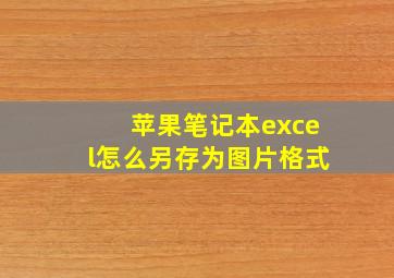 苹果笔记本excel怎么另存为图片格式