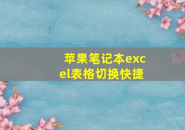 苹果笔记本excel表格切换快捷