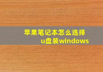 苹果笔记本怎么选择u盘装windows