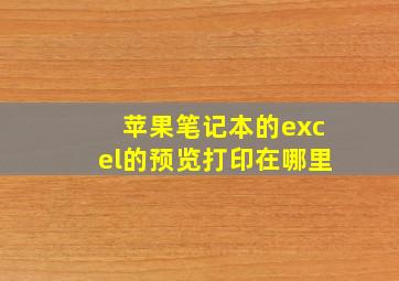 苹果笔记本的excel的预览打印在哪里