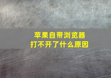 苹果自带浏览器打不开了什么原因