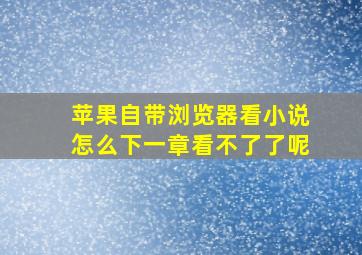 苹果自带浏览器看小说怎么下一章看不了了呢