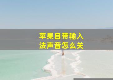 苹果自带输入法声音怎么关