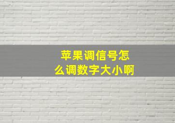 苹果调信号怎么调数字大小啊