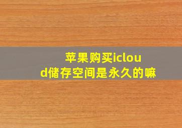 苹果购买icloud储存空间是永久的嘛