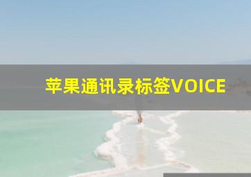 苹果通讯录标签VOICE