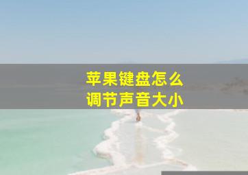 苹果键盘怎么调节声音大小