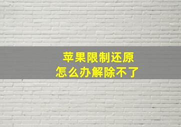 苹果限制还原怎么办解除不了