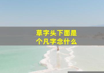 草字头下面是个凡字念什么