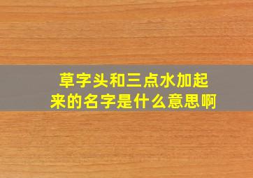 草字头和三点水加起来的名字是什么意思啊