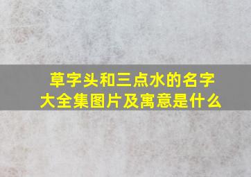 草字头和三点水的名字大全集图片及寓意是什么