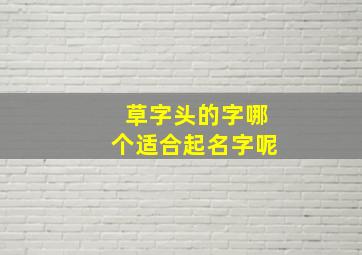 草字头的字哪个适合起名字呢